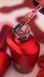 Roks Playboy Red (12 ml) rpr12 фото 2